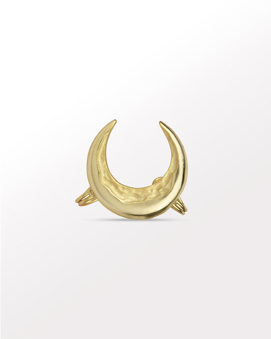 Zooni Ear Cuff