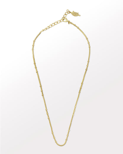 Dotted Chain